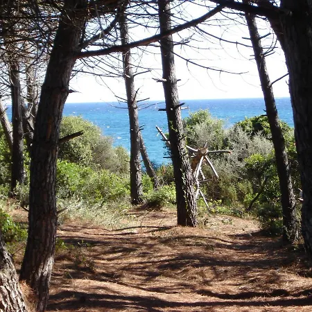 Trilocale In Con Piscina A 200 M Dal Mare *