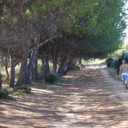 Trilocale In Con Piscina A 200 M Dal Mare * Linguizzetta
