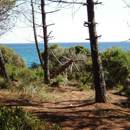 Trilocale In Con Piscina A 200 M Dal Mare דירה *