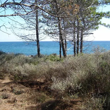 Trilocale In Con Piscina A 200 M Dal Mare