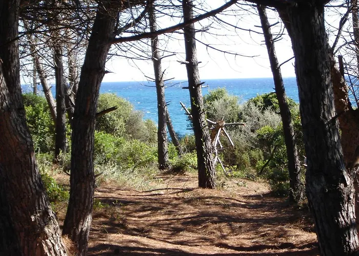 Trilocale In Con Piscina A 200 M Dal Mare *