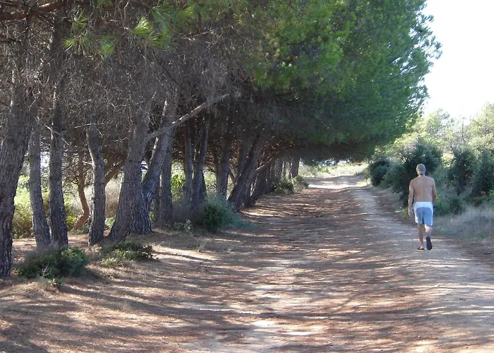 Trilocale In Con Piscina A 200 M Dal Mare * Linguizzetta