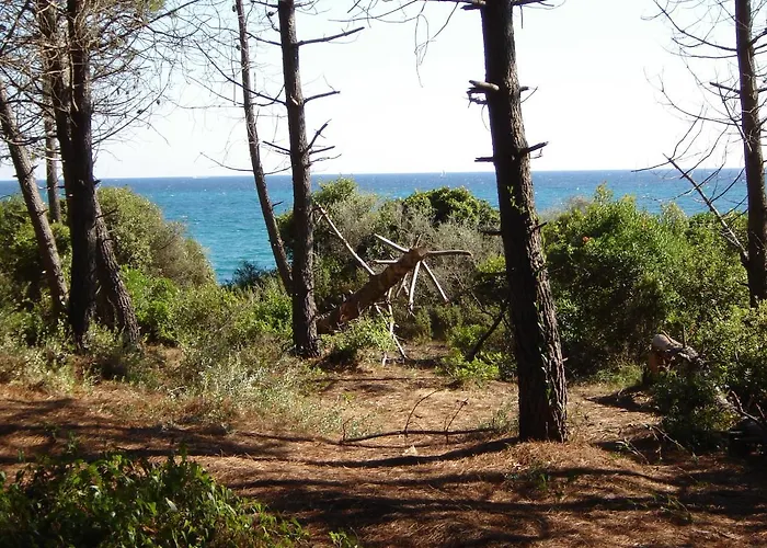 Trilocale In Con Piscina A 200 M Dal Mare Apartamento *