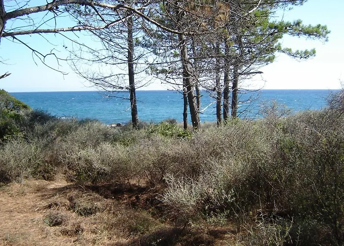 Trilocale In Con Piscina A 200 M Dal Mare